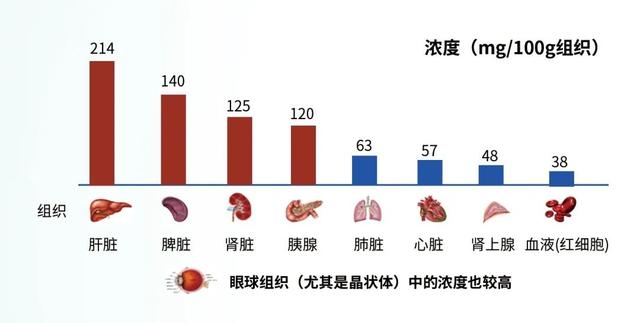 人体内谷胱甘肽含量