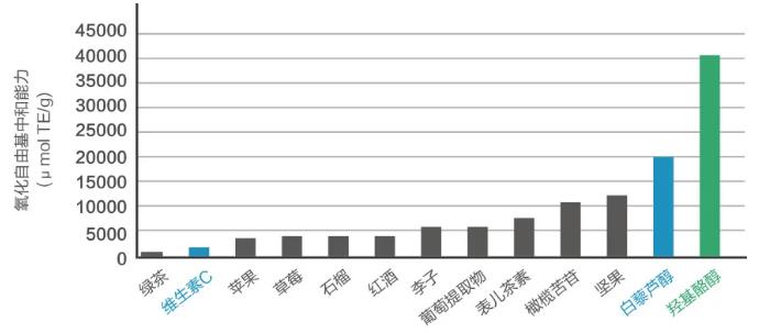 羟基酪醇的抗氧化功能远超其他主流产品.jpg